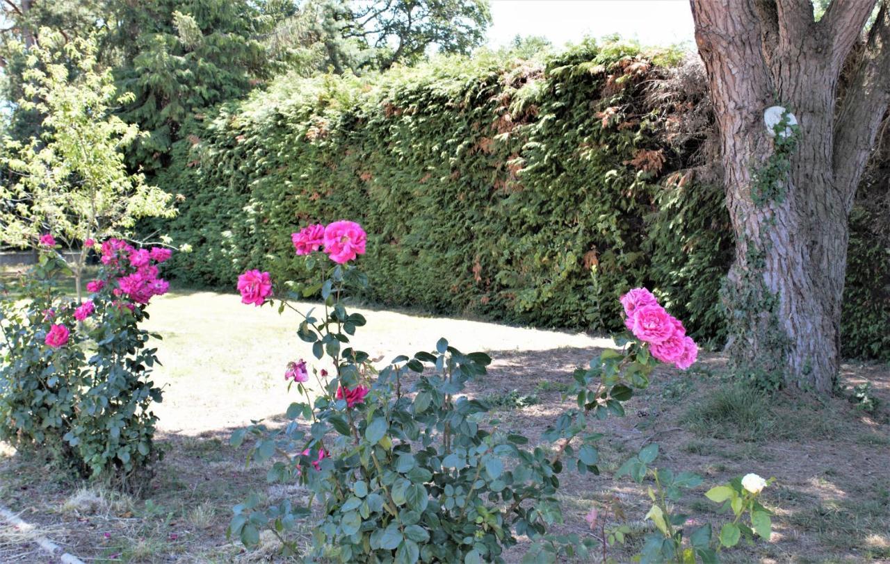 Fontguenand Les Bruyeres De Jeanne Et Rene Zoo De Beauval A 20Min,Chateaux Tout Inclus מראה חיצוני תמונה